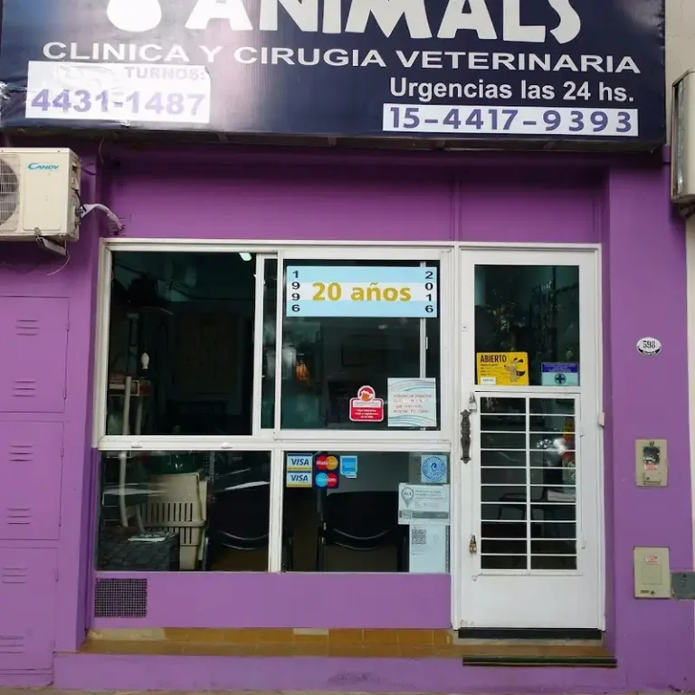 animals 2 768x768