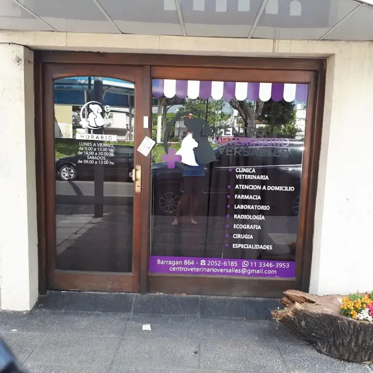 centro veterinario versalles 768x768