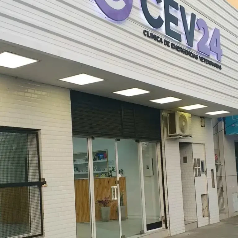 cev 24hs clinica de emergencias veterinarias 768x768