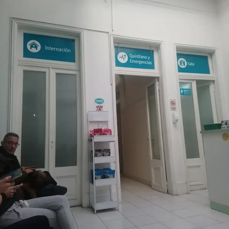 clinica veterinaria barracas 768x768