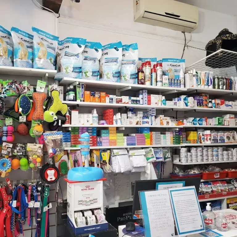 clinica veterinaria don lalo retiro 768x768