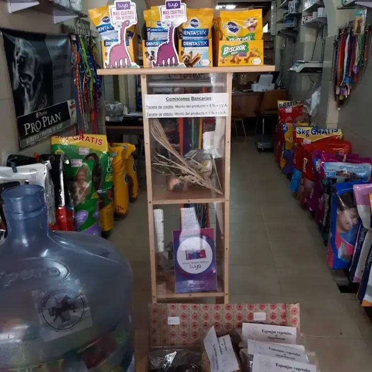 clinica veterinaria san eloy 768x768