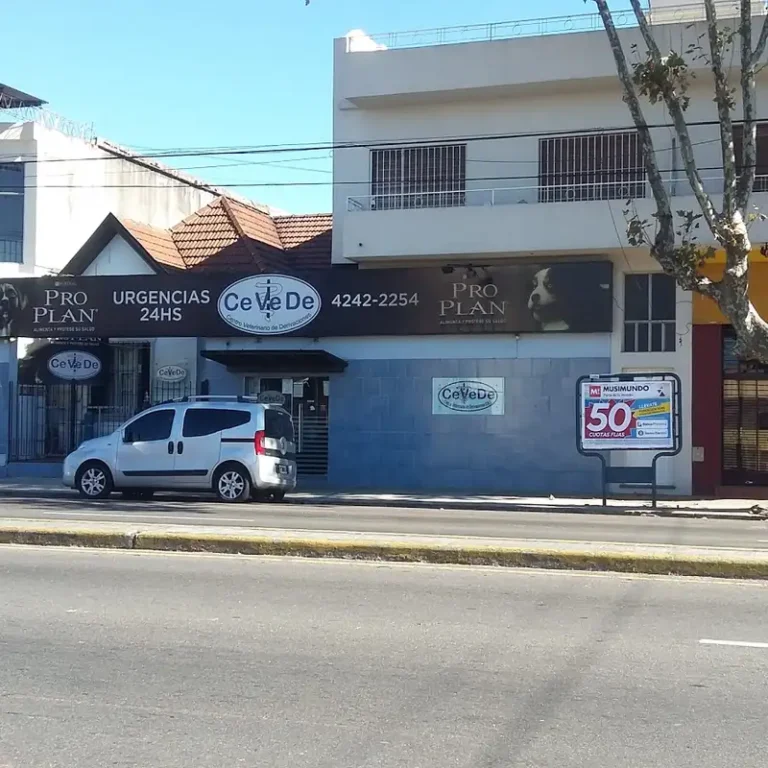 derivations cevede centro veterinario 1 768x768