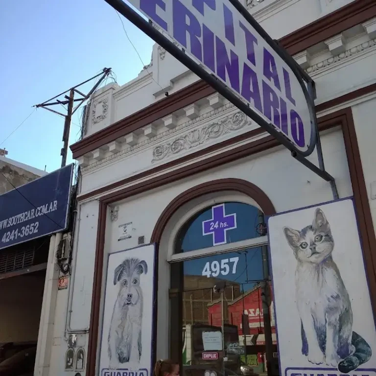lanus hospital veterinario 1 768x768