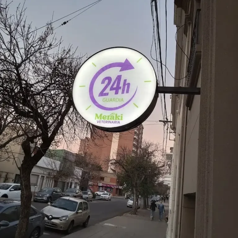 meraki clinica veterinaria 1 768x768