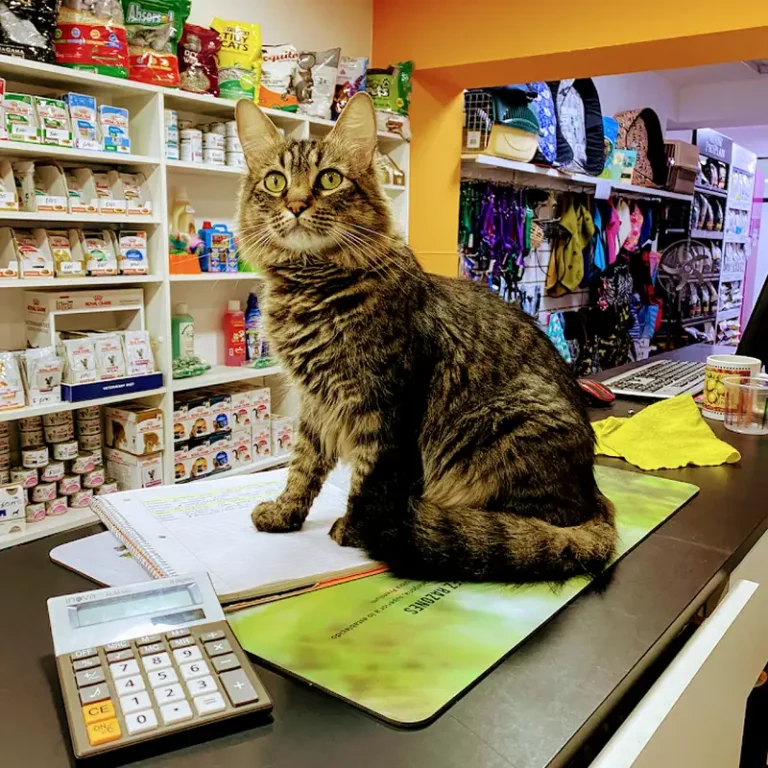 petba pet shop veterinaria av belgrano 768x768