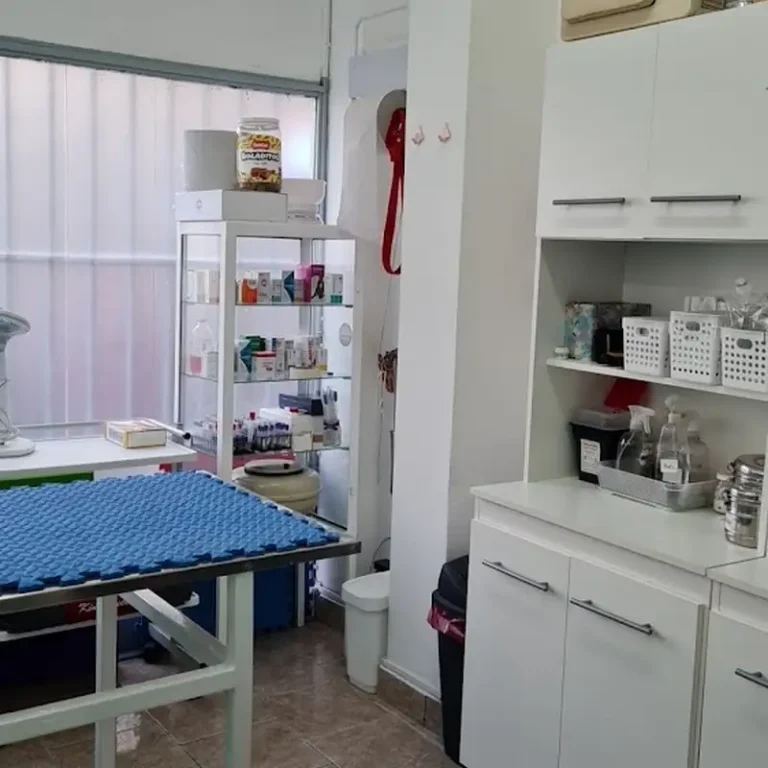 sm vet veterinaria 768x768
