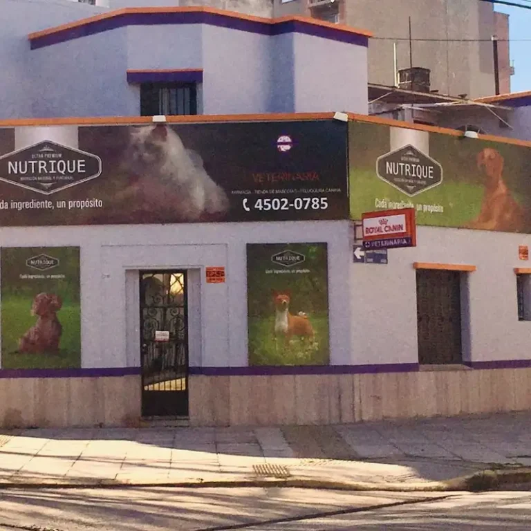 vet center veterinaria  768x768