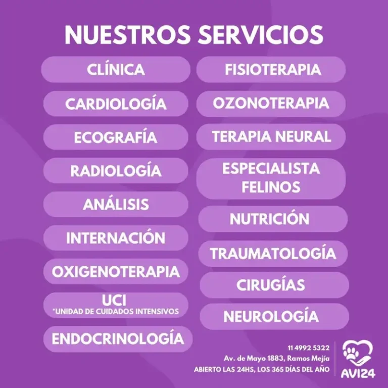 veterinaria avi 24hs 1 768x768