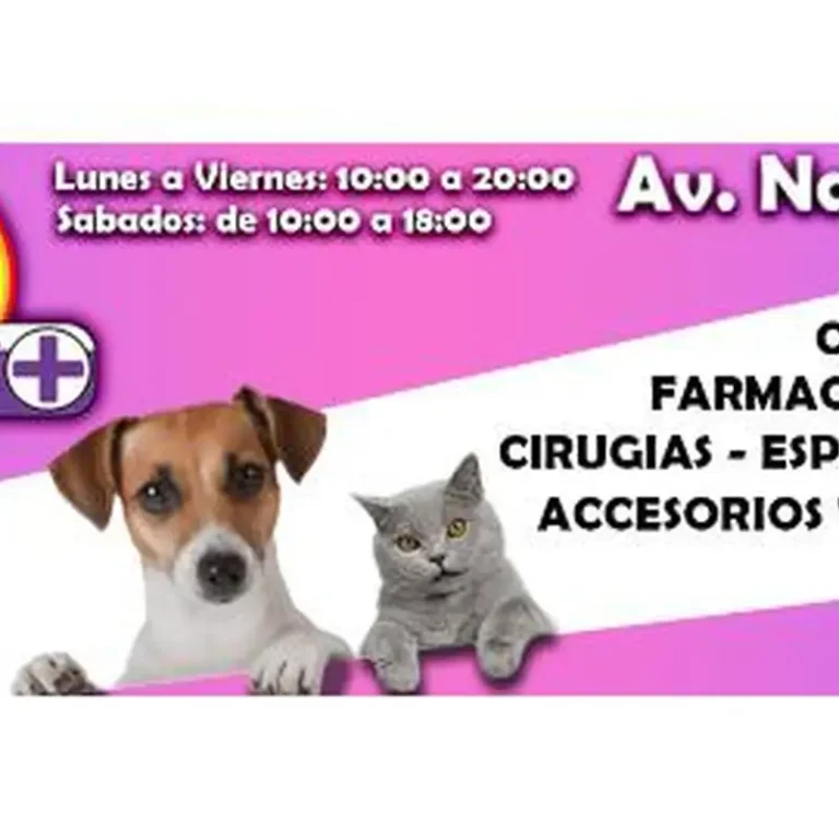 veterinaria colors 2 768x768
