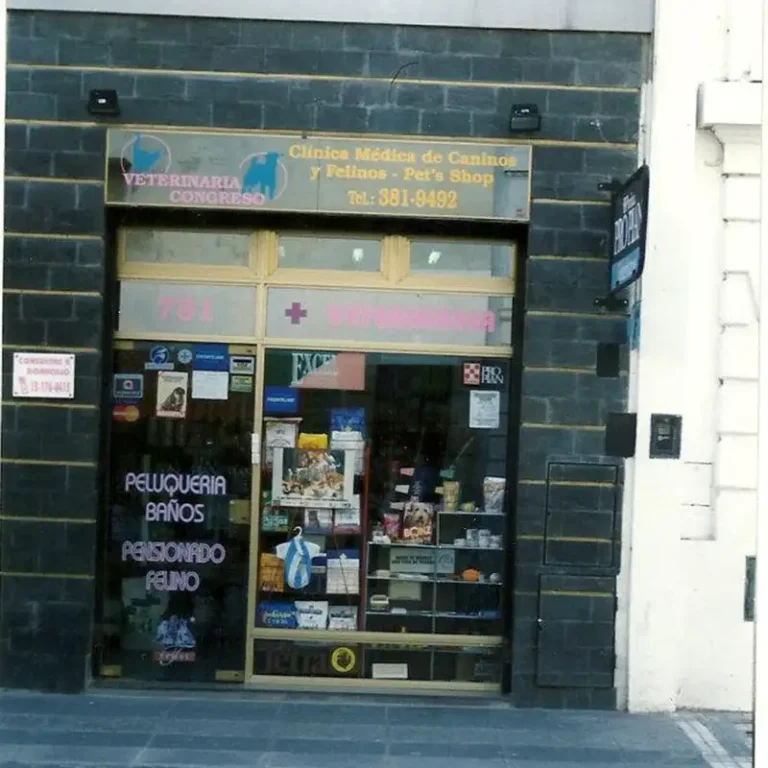 veterinaria congreso 768x768