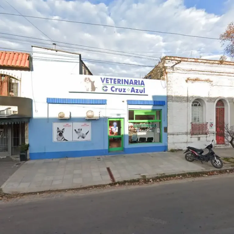 veterinaria cruz azul 1 768x768