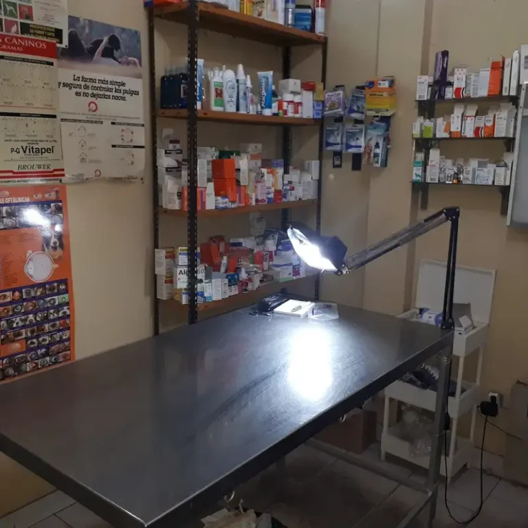 veterinaria dr flores 768x768