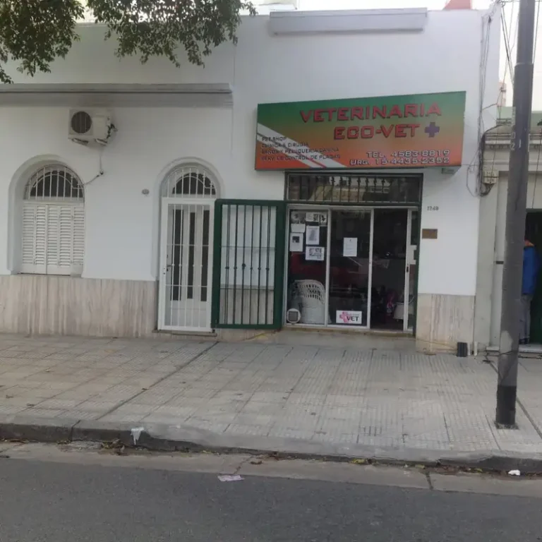 veterinaria eco vet 768x768