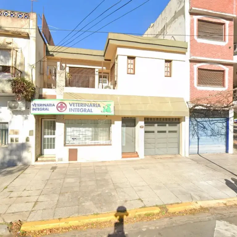 veterinaria integral buenos aires caba  768x768