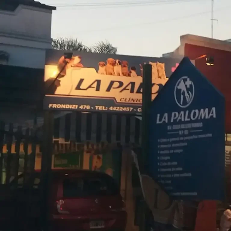 veterinaria la paloma 768x768