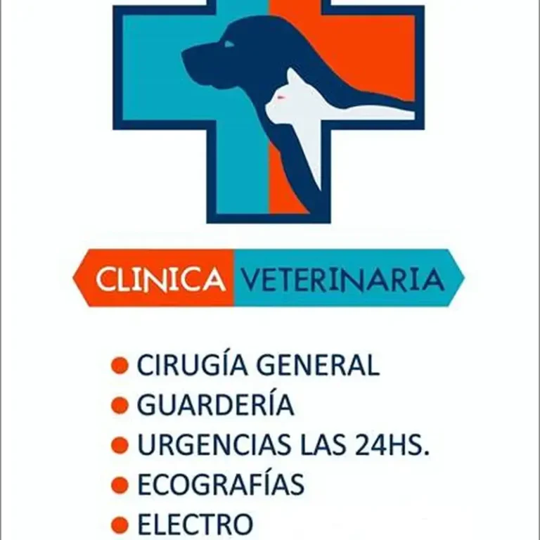 veterinaria mundo animal entre rios 768x768