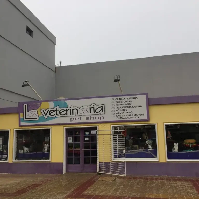 la veterinaria pet shop 768x768