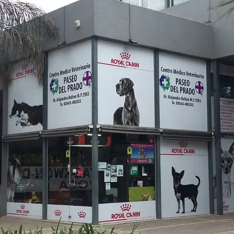 centro medico veterinario paseo del prado 768x768