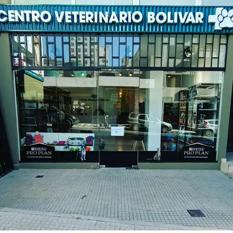 centro veterinario bolivar 768x768