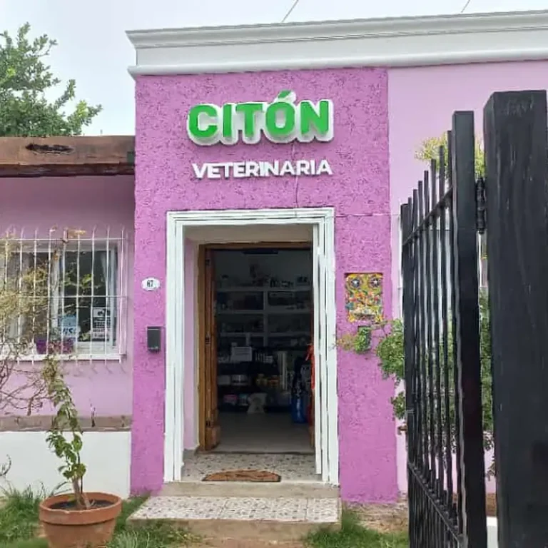 citon veterinaria 768x768