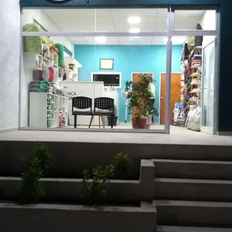 clinica veterinaria villa rumipal 768x768