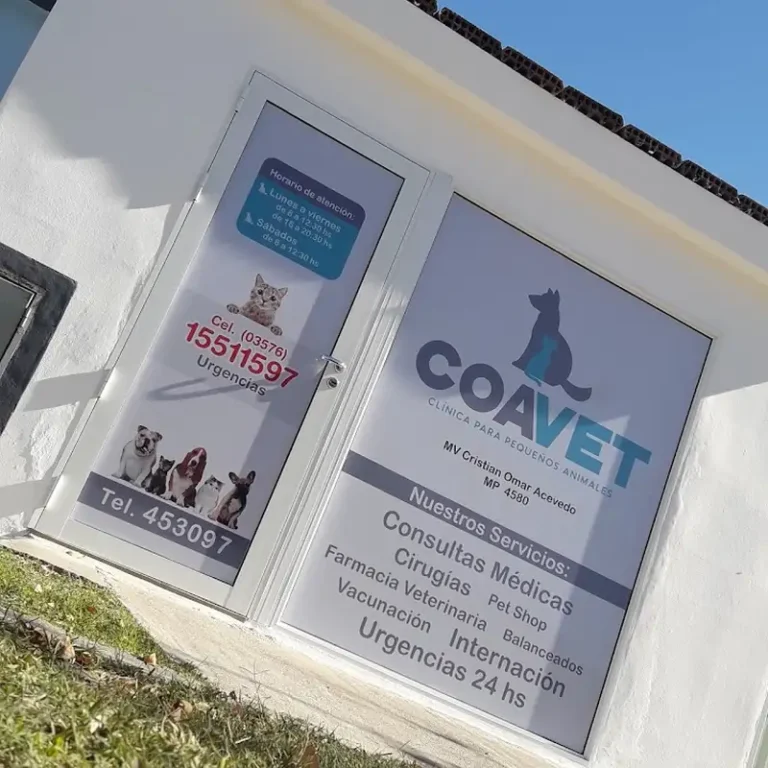 coavet clinica para pequenos animales 768x768
