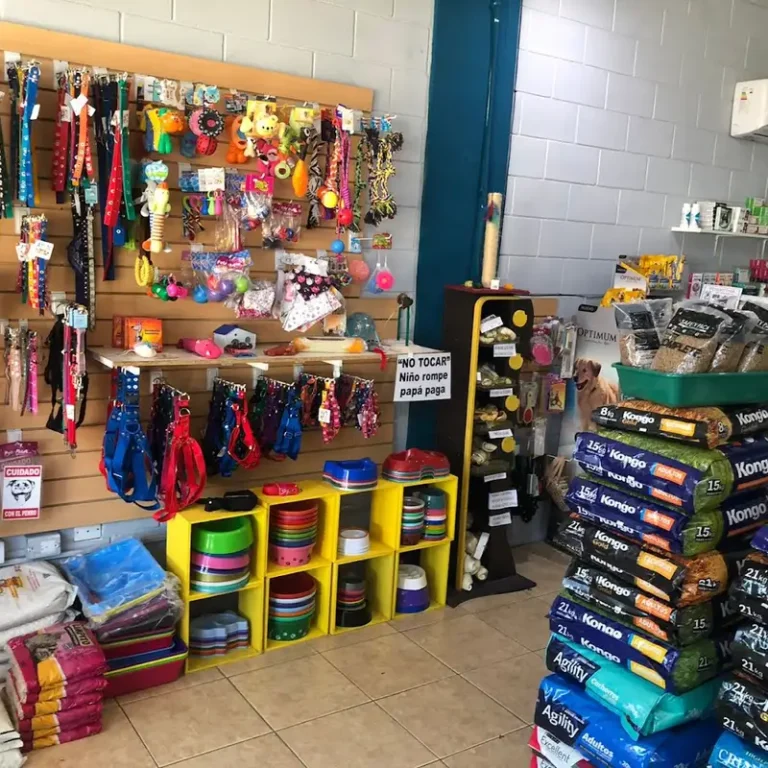 kairos clinica veterinaria 768x768