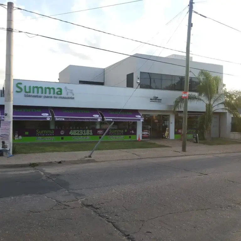 summa veterinaria 768x768