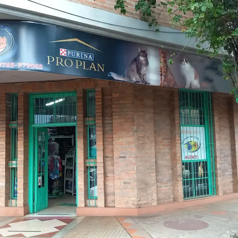 clinica veterinaria mundo animal 768x768