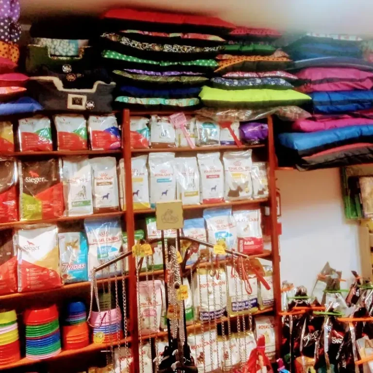 firulais pet clinic 768x768
