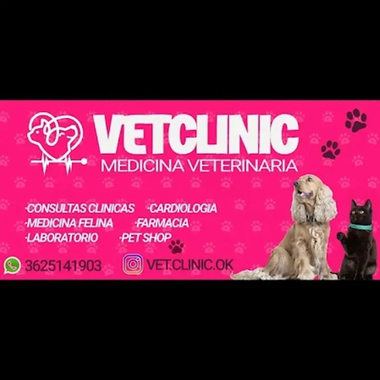 vetclinic 768x768