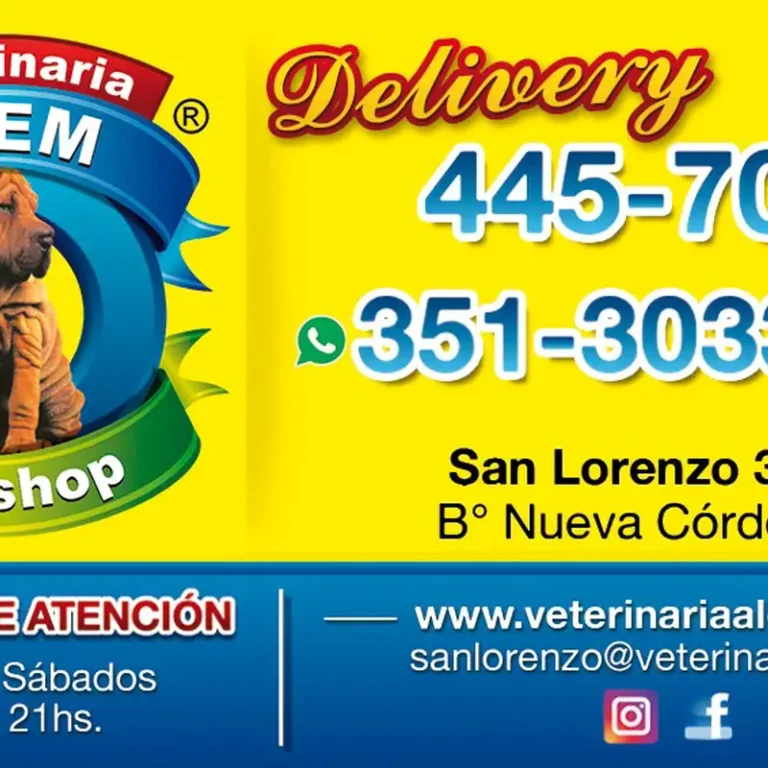 veterinaria alem san lorenzo 768x768