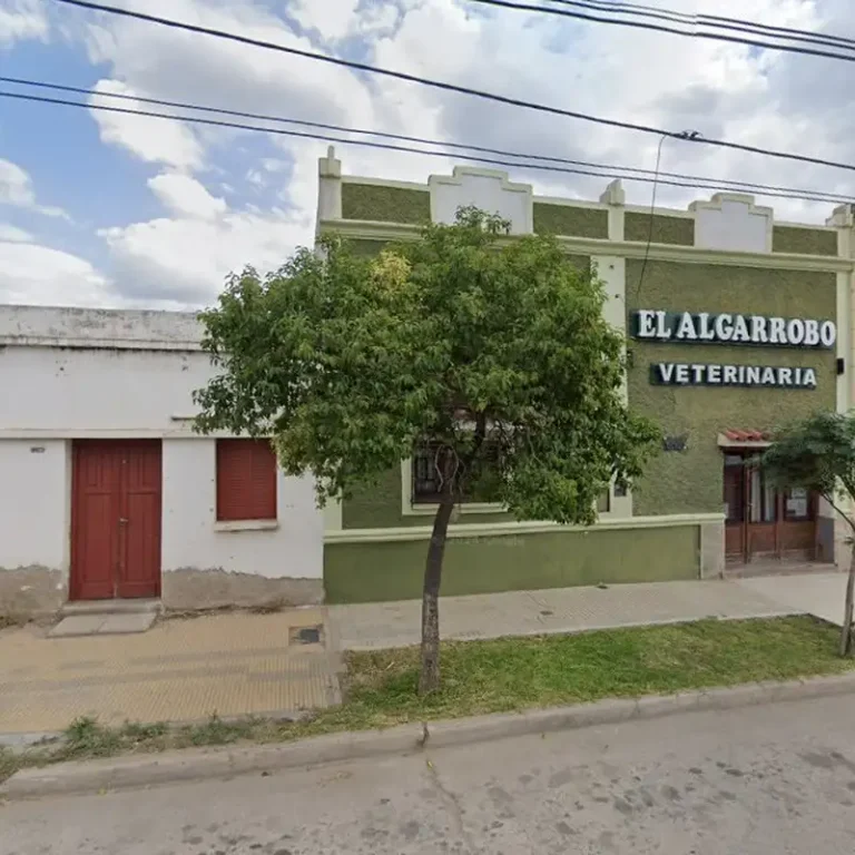 veterinaria el algarrobo 768x768