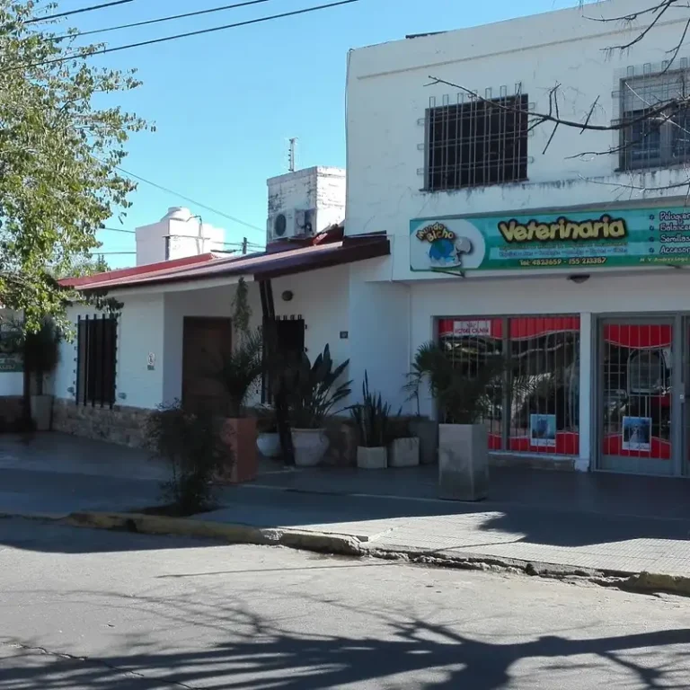 veterinaria exoticos dr lagos 768x768