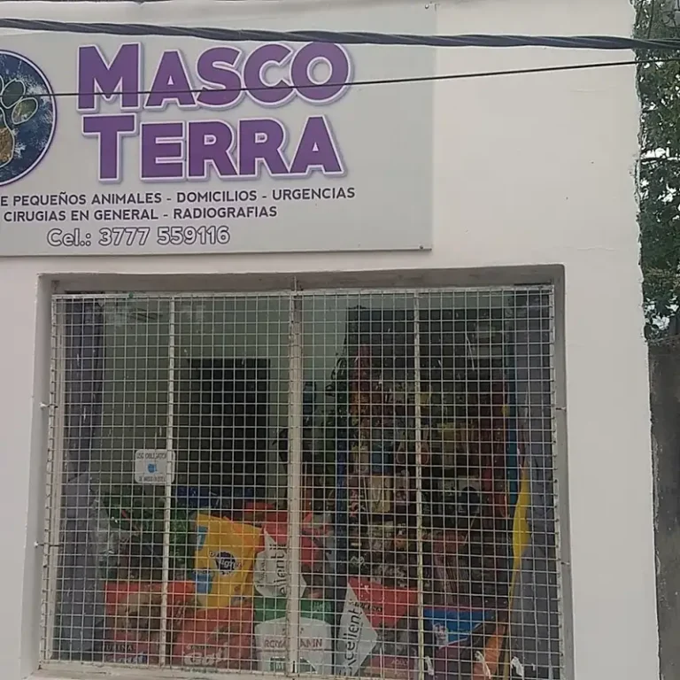 veterinaria mascoterra 768x768