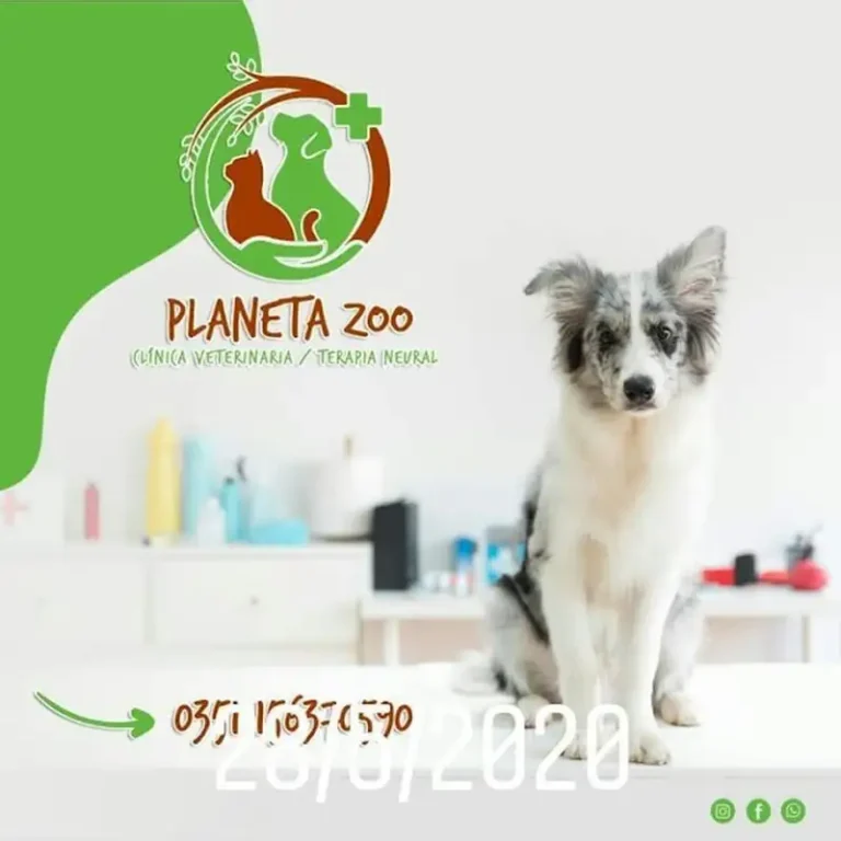 veterinaria planeta zoo solicitar turno previo 768x768