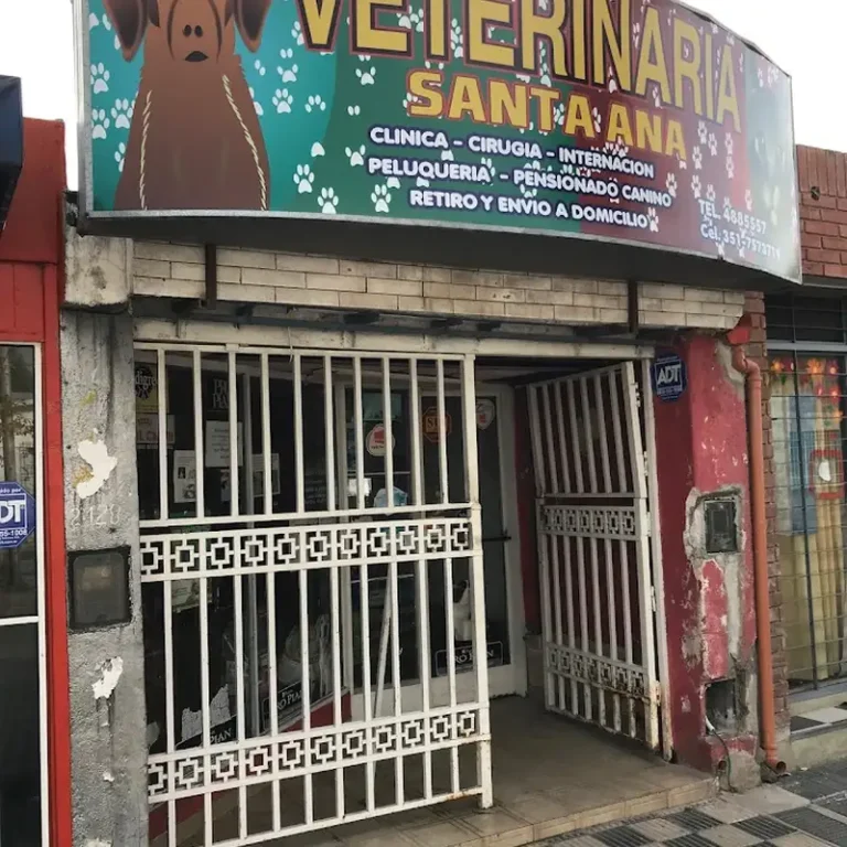 veterinaria santa ana 768x768