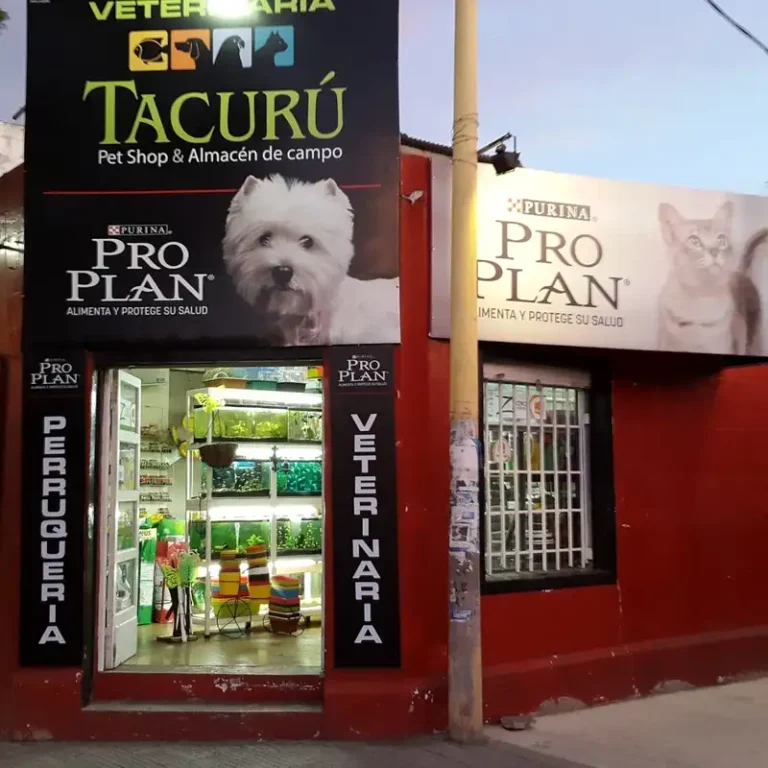 veterinaria tacuru 768x768