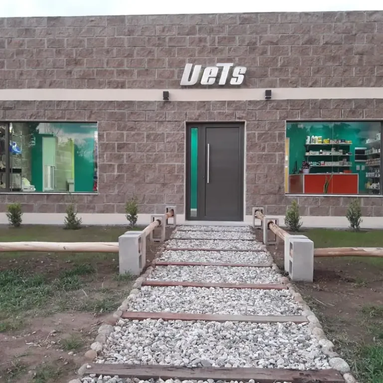 veterinaria vets 768x768