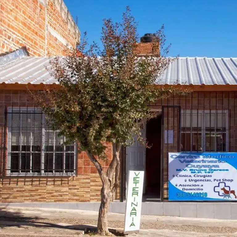 centro medico veterinario cuyaya 768x768