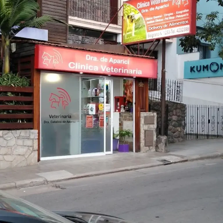 clinica veterinaria dra de aparici 768x768
