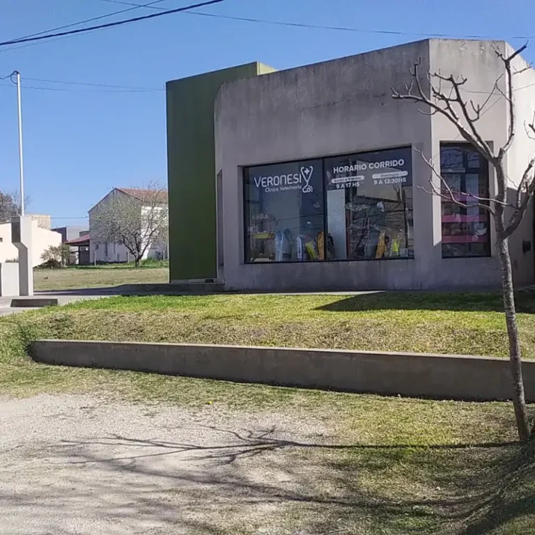 clinica veterinaria veronesi 768x768