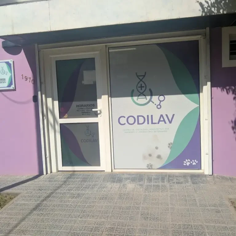 codilav 768x768