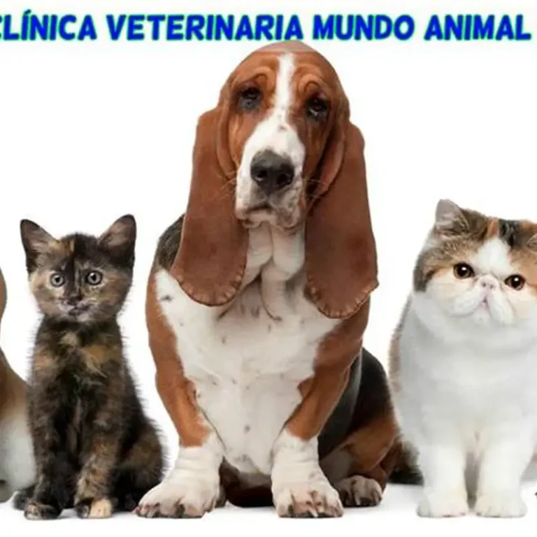 mundo animal parana 768x768