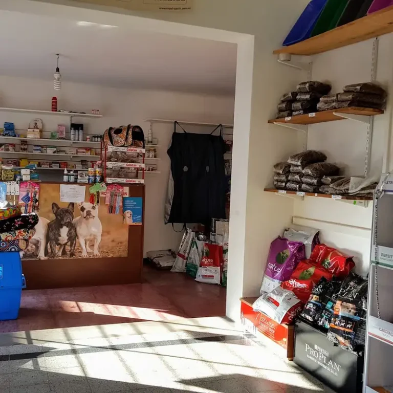 serinvet clinica veterinaria 768x768