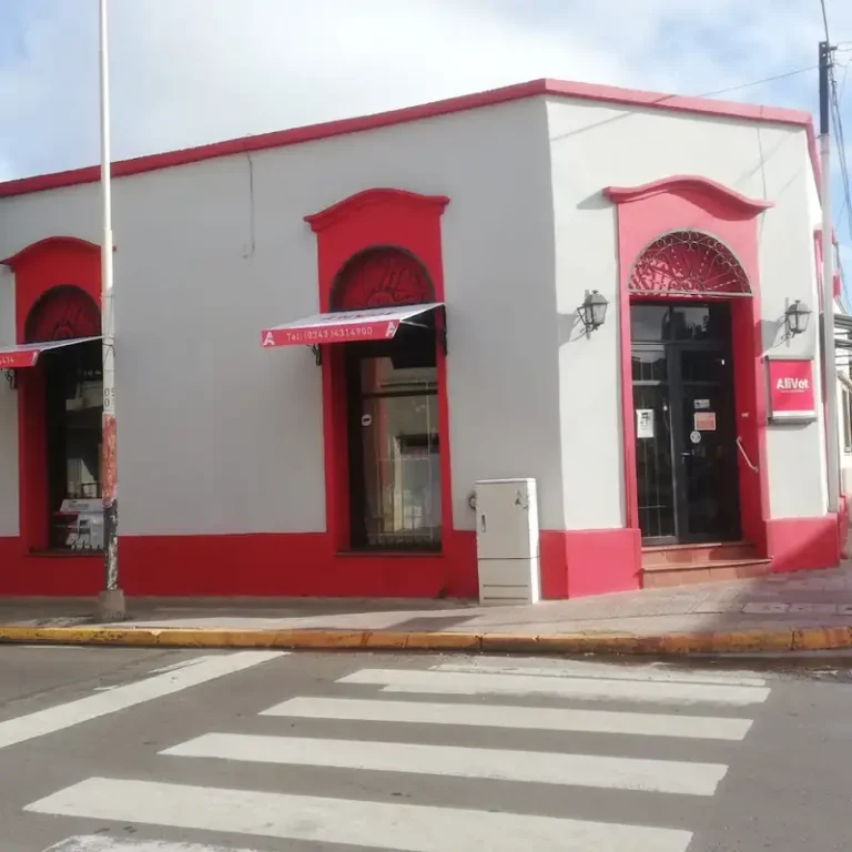 veterinaria alivet parana 768x768