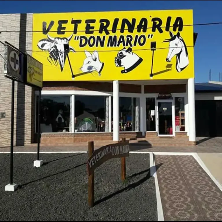 veterinaria don mario 768x768
