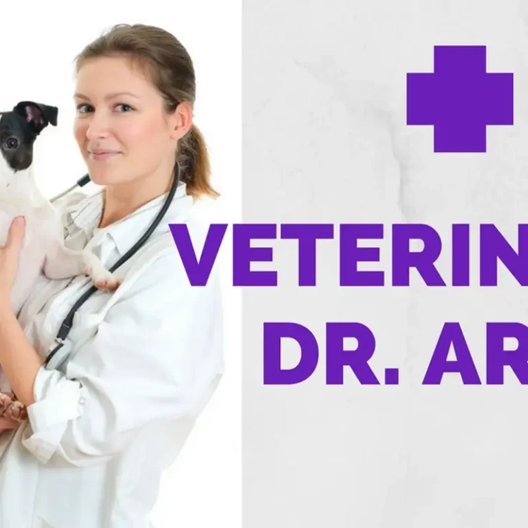 veterinaria dr arca 768x768