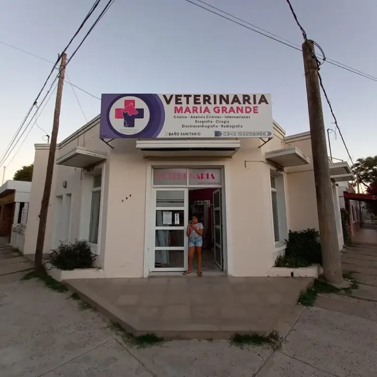 veterinaria maria grande 768x768